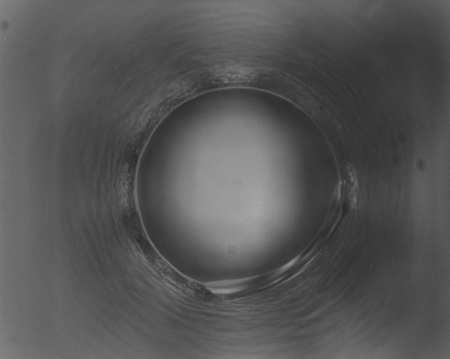 X0000053070604200507181628