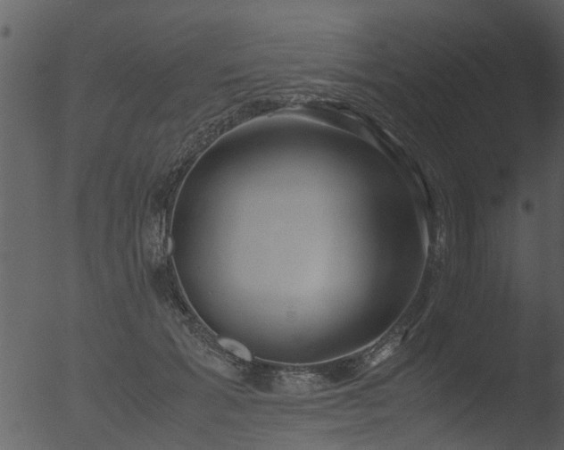 X0000053070605200507181628