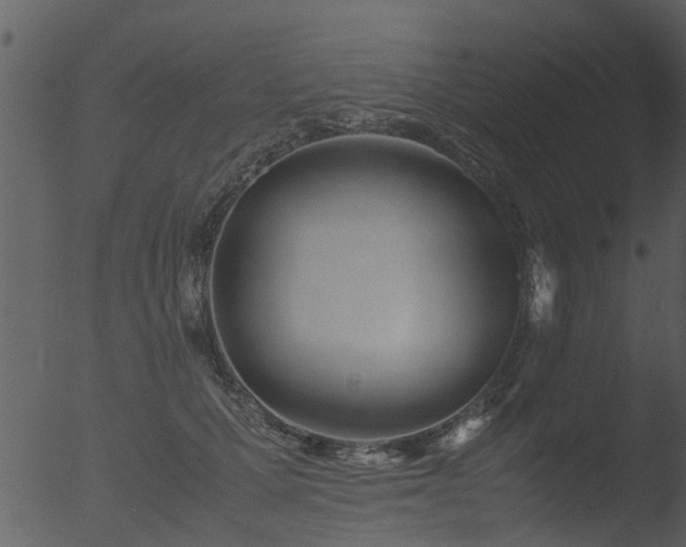 X0000053070607200507181628