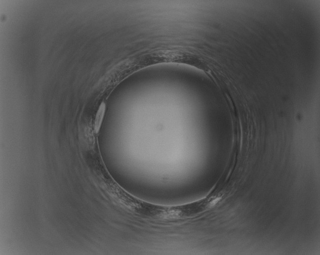 X0000053070609200507181628