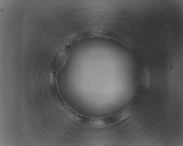 X0000053070610200507181628