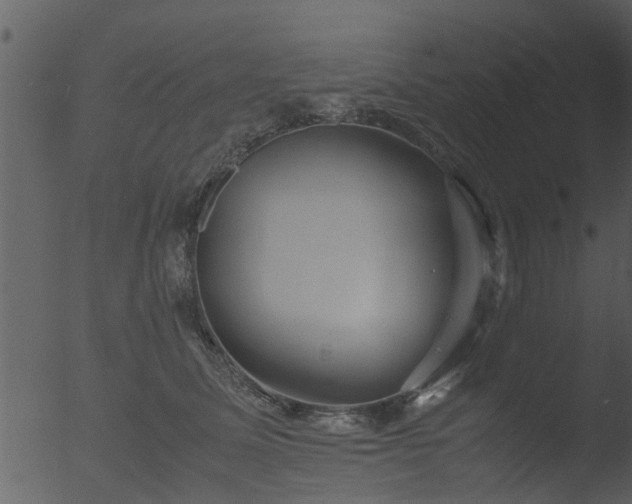 X0000053070611200507181628