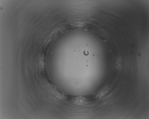 X0000053070612200507181628