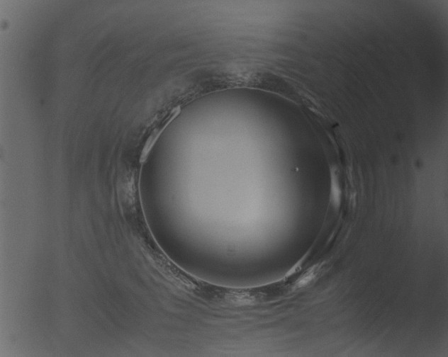 X0000053070613200507181628