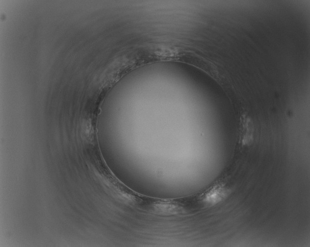 X0000053070614200507181628