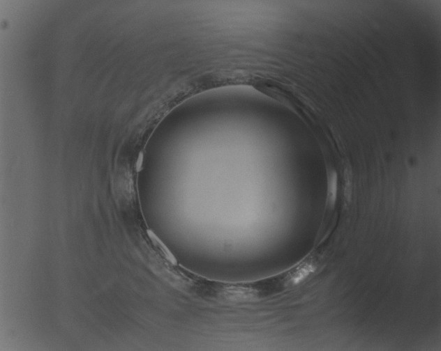 X0000053070617200507181628