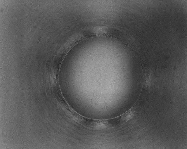 X0000053070618200507181628