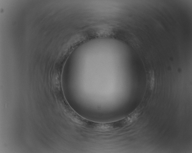 X0000053070619200507181628