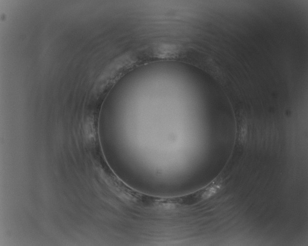 X0000053070620200507181628