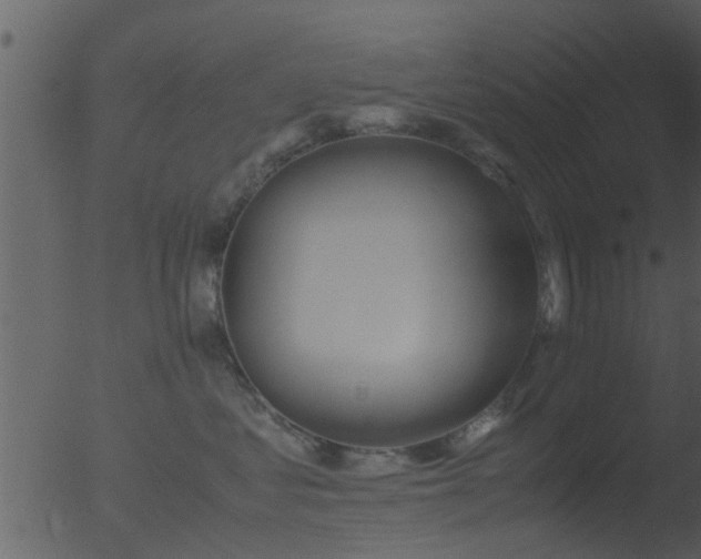 X0000053070621200507181628