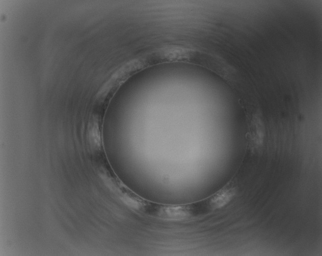 X0000053070622200507181628