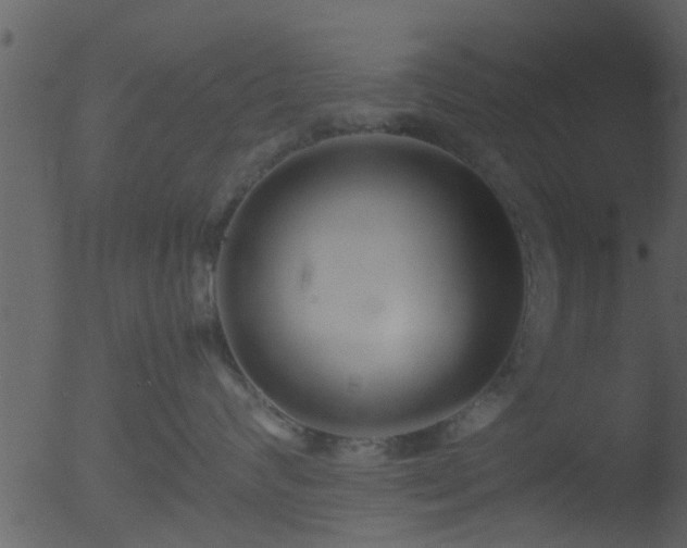 X0000053070624200507181628