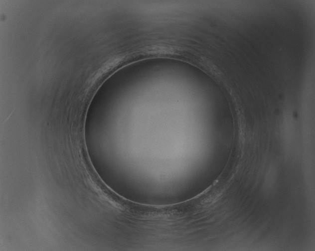 X0000053070625200507181627