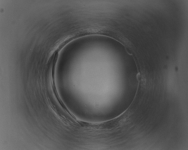 X0000053070626200507181627