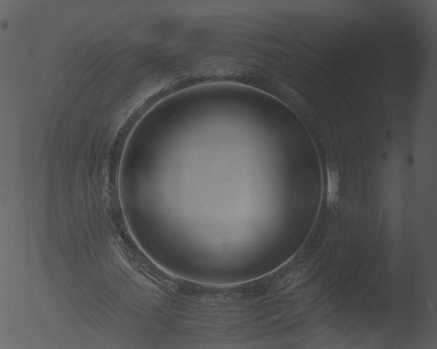 X0000053070627200507181627