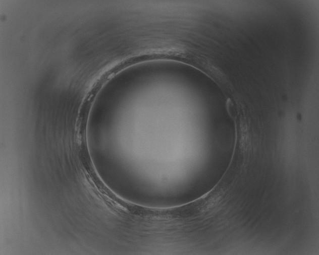 X0000053070628200507181627