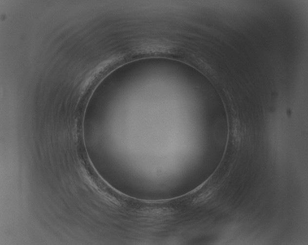 X0000053070629200507181627