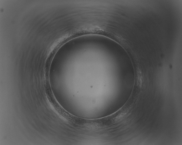 X0000053070630200507181627