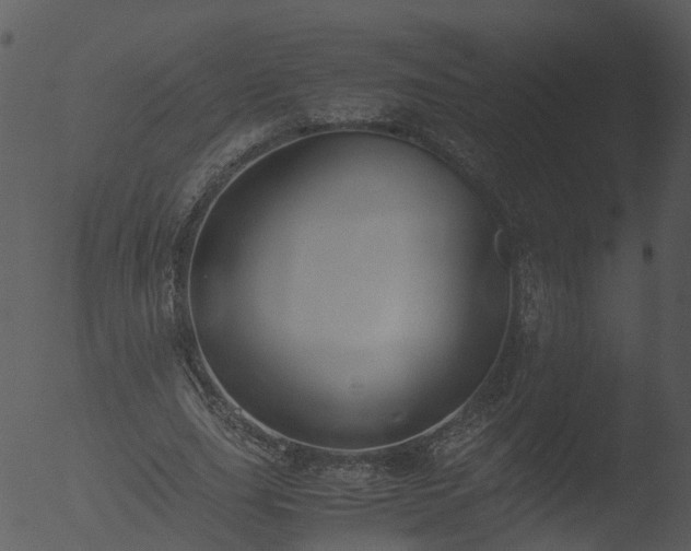 X0000053070631200507181627