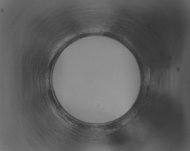 X0000053070632200507181627