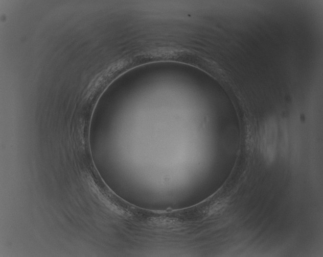 X0000053070633200507181627