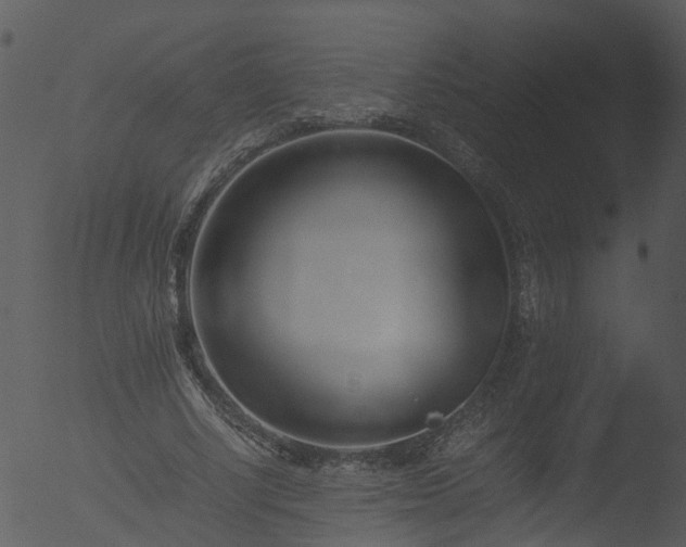 X0000053070634200507181627