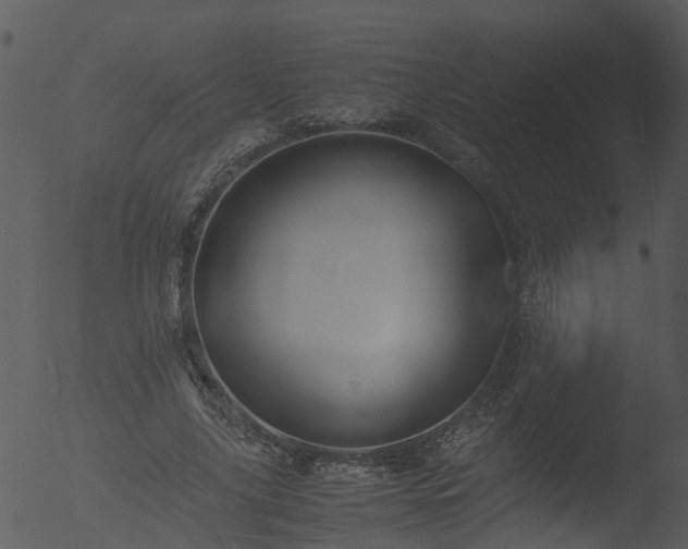 X0000053070635200507181627