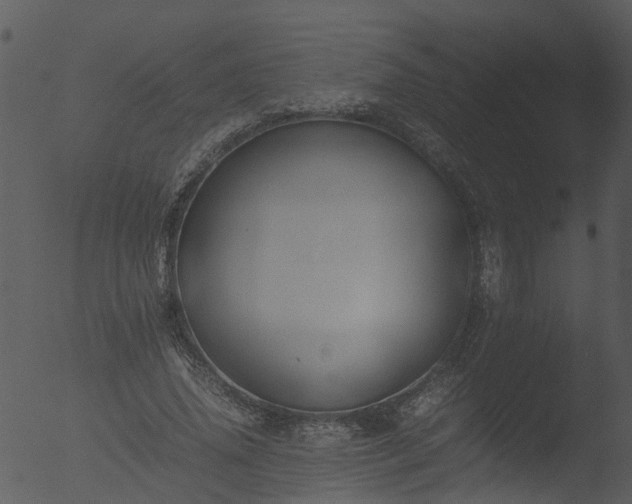 X0000053070636200507181627