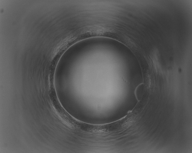 X0000053070638200507181627