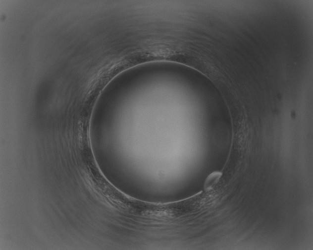 X0000053070639200507181627