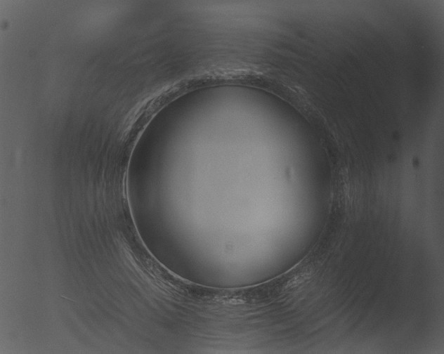 X0000053070640200507181627