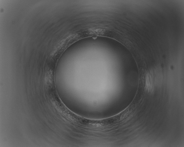 X0000053070649200507181627