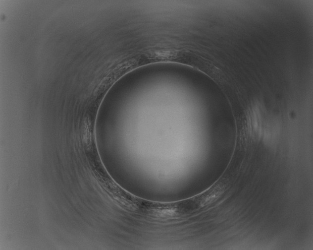 X0000053070651200507181627