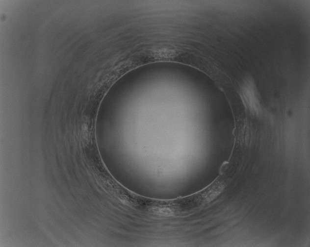 X0000053070655200507181627