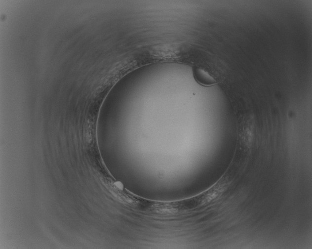 X0000053070658200507181627