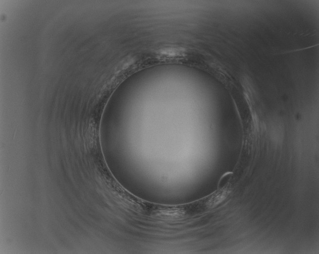 X0000053070659200507181627