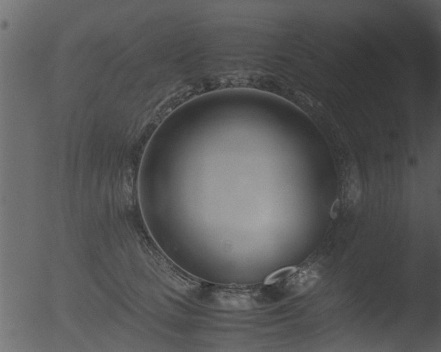 X0000053070661200507181627