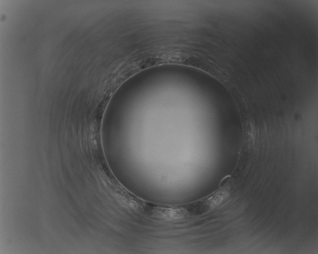 X0000053070663200507181627