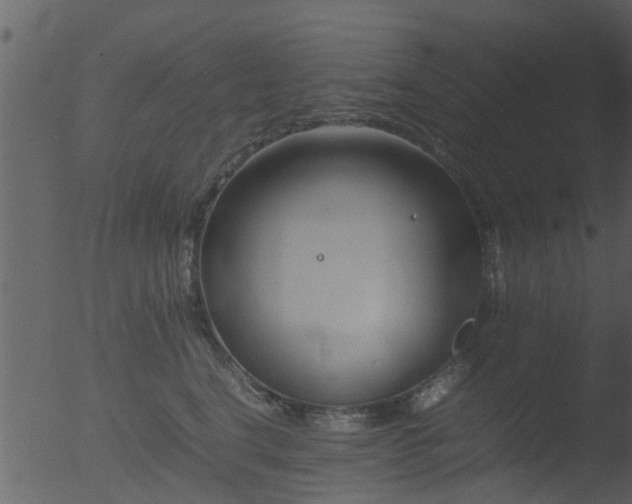 X0000053070664200507181627