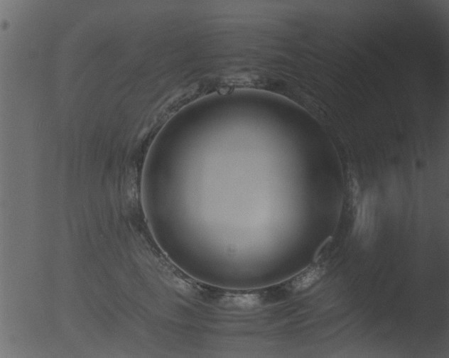 X0000053070665200507181627