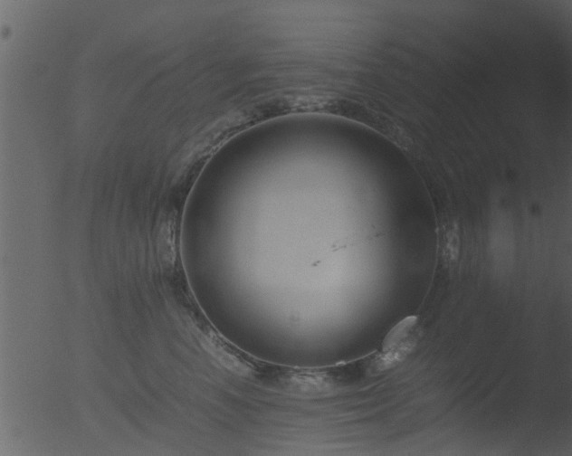 X0000053070666200507181627