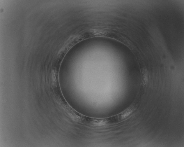 X0000053070667200507181627