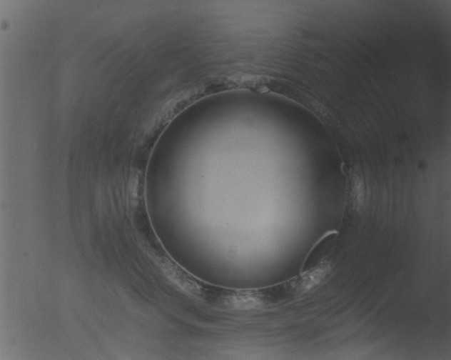 X0000053070668200507181627