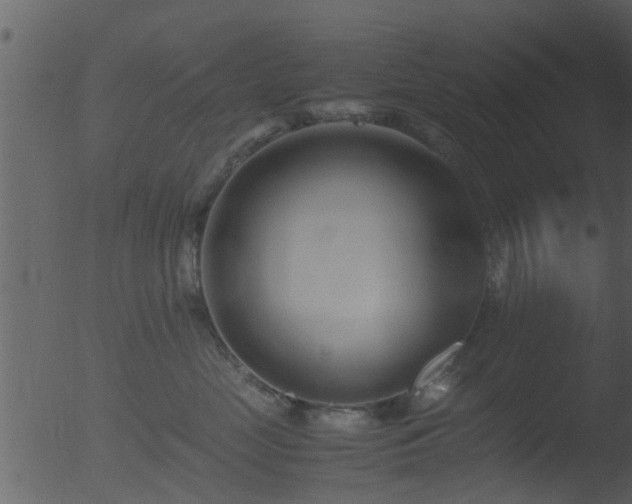 X0000053070669200507181628