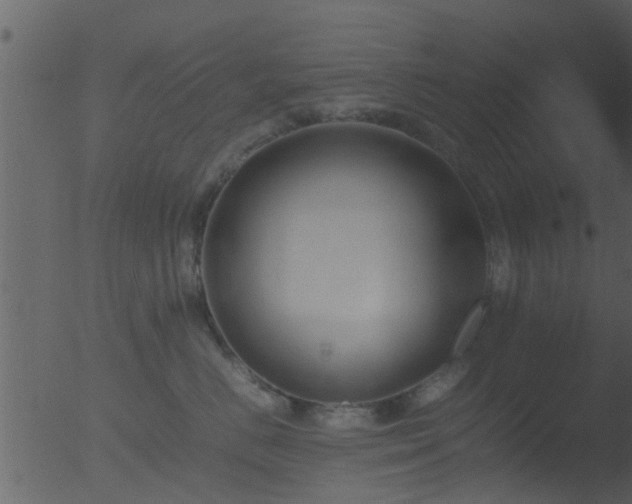 X0000053070670200507181628