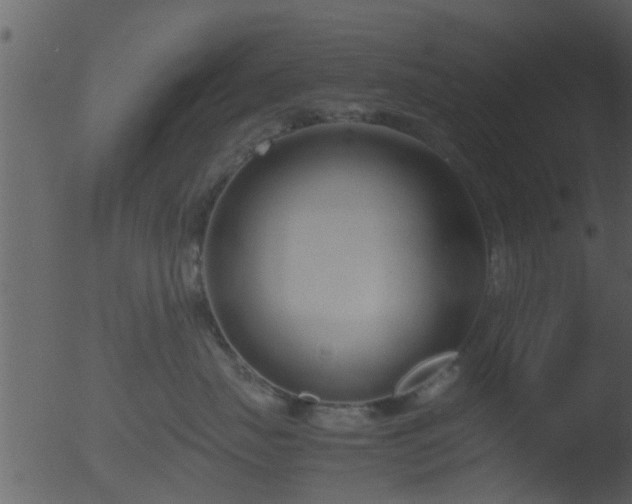 X0000053070671200507181628