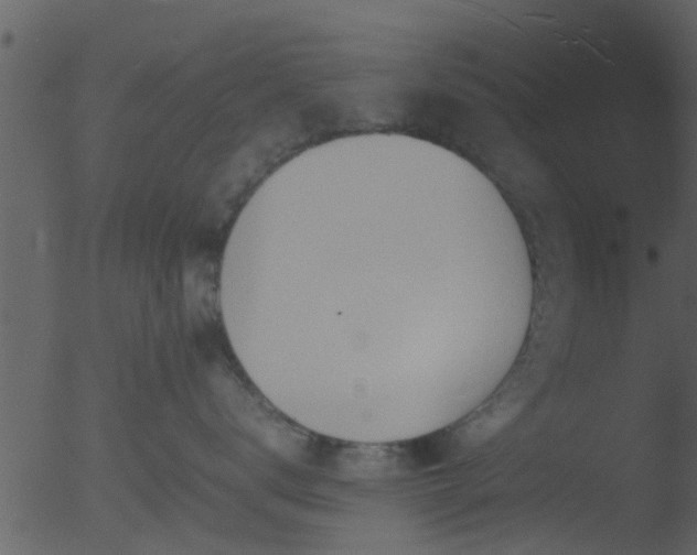 X0000053070672200507181628