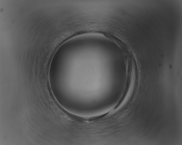 X0000053070673200507181627