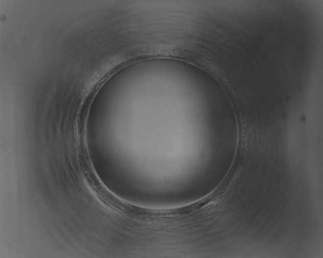 X0000053070674200507181627