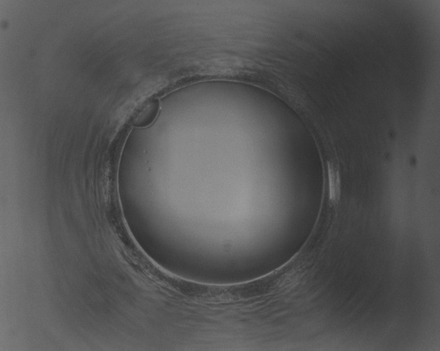 X0000053070675200507181627